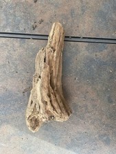 Natural Driftwood for Plants Terrarium Taxidermy Art Projects