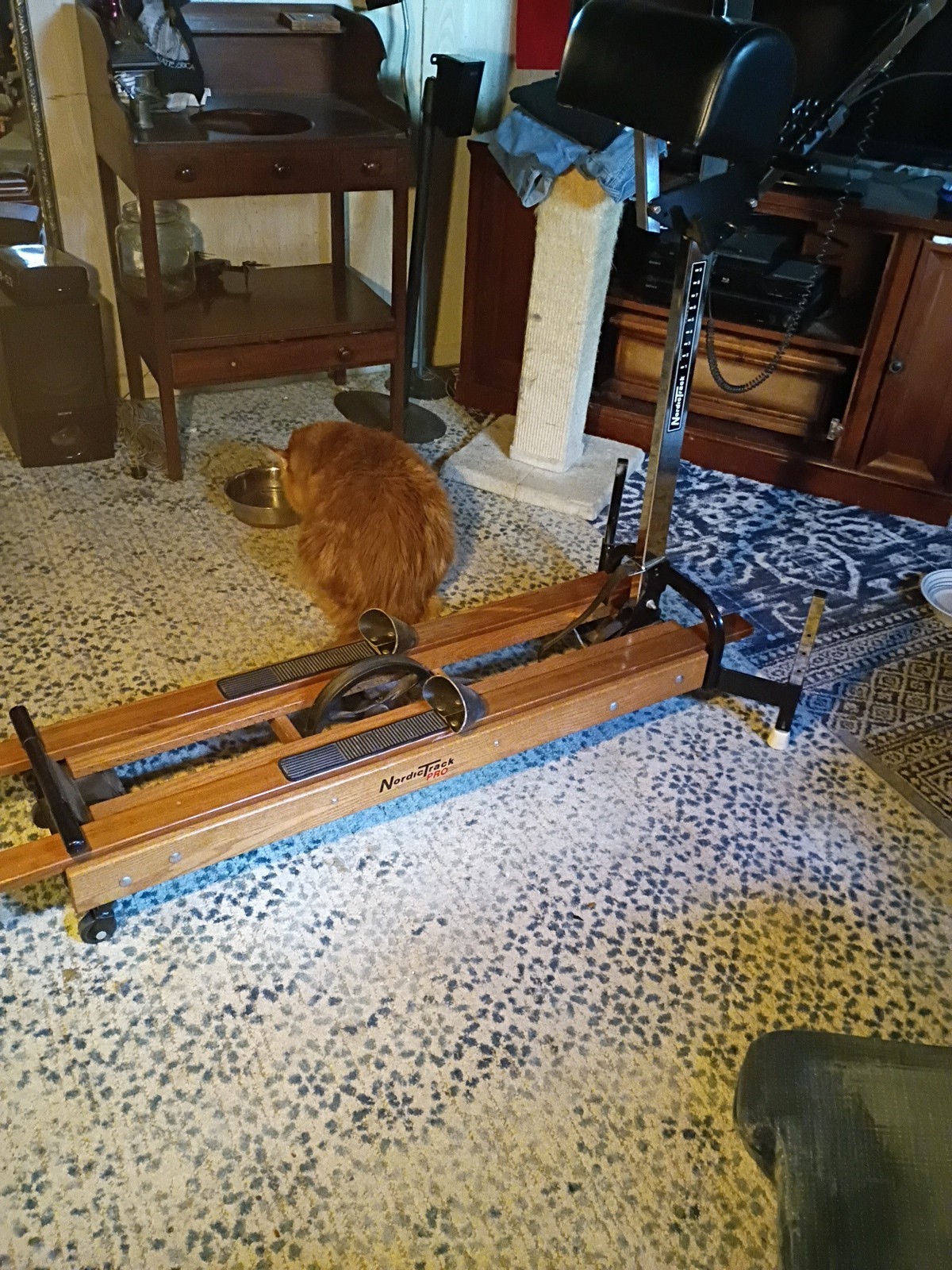Nordic Track Ski Machine