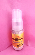 Dry Shampoo New non-aerosol All Natural