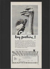 Union Of South Africa - South African Tourist Corporation 1960 Vintage Print Ad