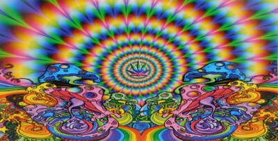 6 Pack Magic Mushroom Holographic Psychedelic Chrome 2.63''x2.88'' Bumper Sticker