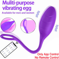 Sucking Vibrating Women Panties Massager Wearable Wireless App Controlled