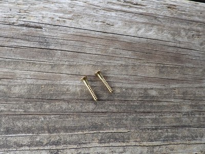 Thompson/Center T/C Hawken Brass Patchbox Screws (2)