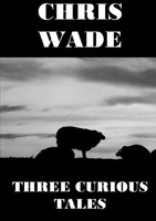 Chris Wade | Three Curious Tales | Taschenbuch | Englisch (2020)