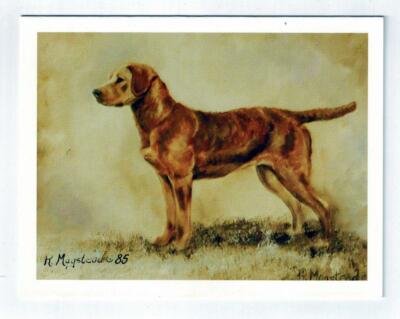 Chesapeake Bay Retriever Profile Notecard Set 6 Blank Note Cards Ruth Maystead