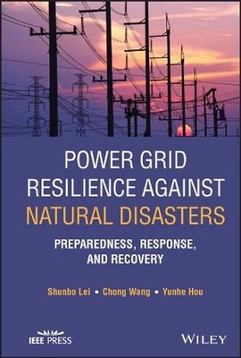 Power Grid Resilience against Natural Disasters: Preparedness, Response, and Rec