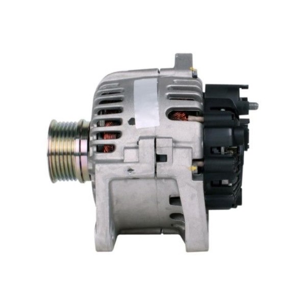 Hella Generator Lichtmaschine 110A 14V FüR Renault ScéNic II JM0/1_ Megane-image
