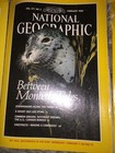 A Lot Of 11 1980S And 90S National Geographic Magazines — photo 9
