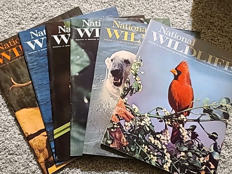 National Wildlife Magazine – Complete 1970 Year (6 Issues) – Clean Vintage Lot