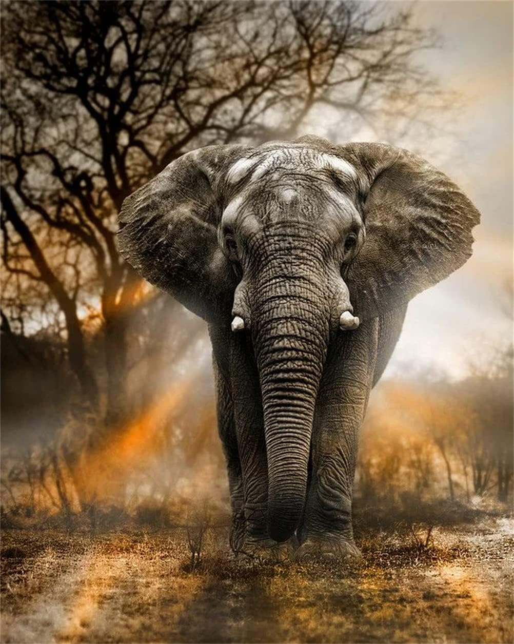 Meecaa Paint by Numbers Sunset Elephant Kit for Adults Beginner DIY Oil Painting