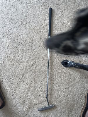Ping Go Win 5 36  Oversize Blade Putter