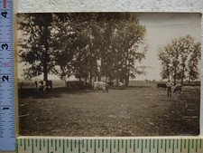Postcard Vintage Picture Farming Scene
