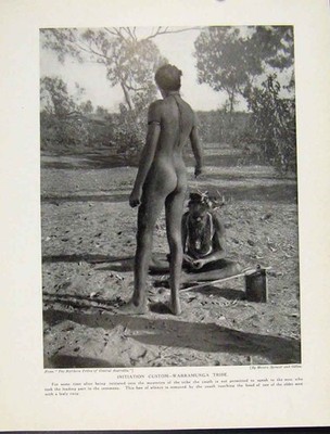 Original alter Vintage Druck Initiation Custome Warramunga Stamm Australien um 1931
