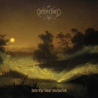 Netherbird - Into The Vast Uncharted - Cd - G4Z