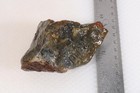 Oregon Moss Agate 10.9 oz rough lot 5 — photo 9