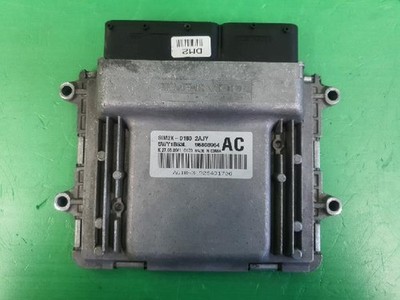 2009 Chevrolet Tosca (Epica) Steuergerät OEM SIM2KD160
