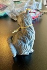 Cat Kitten Putz Animals 1910 Christmas Holiday Rare Bisque Japan — photo 3