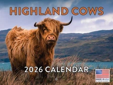 Highland Cow Calendar 2026 Scottish Gifts Hyland Hairy Coo Monthly Wall