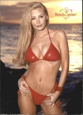 B3282- 2002 Bench Warmer Collector Card #s 1-250 -You Pick- 15+ FREE US SHIP