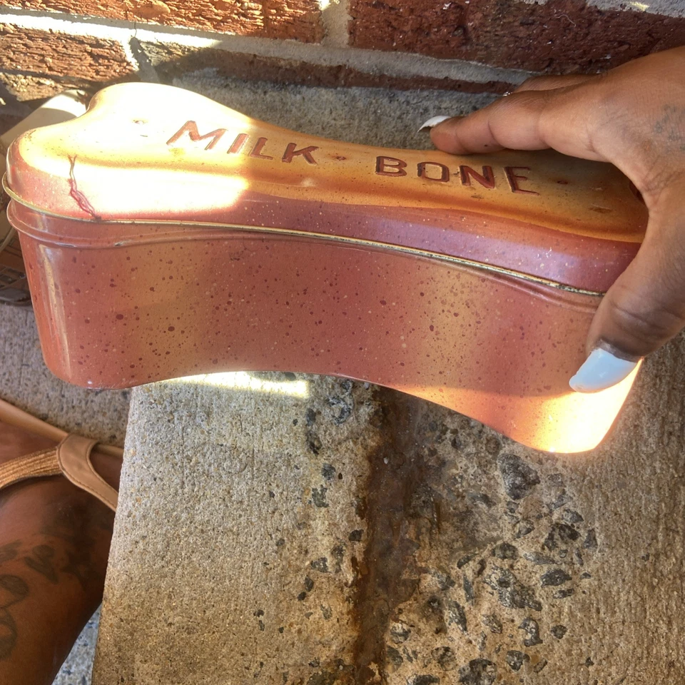 Lata contenedor grande de comida para perros Iams vintage Foto 2 de 3