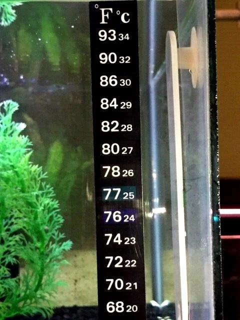 Aquarium Fish Tank Thermometer Temp Sticker Stick on **FAHRENHEIT IN BOLD!**