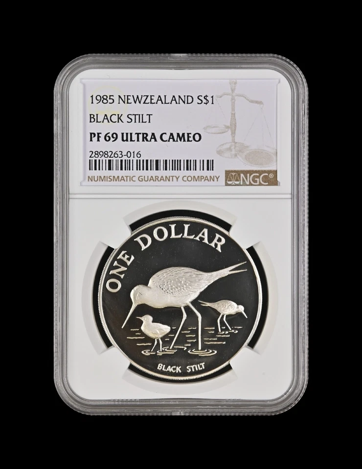 NEW ZEALAND. 1985, 5 Dollars, Silver - NGC PF69 - Black Stilt and Chicks - Image 2 of 4