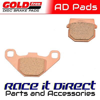 Bremsbeläge für ZERO DS ZF6.0 2010-2011 HINTEN