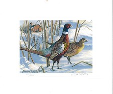 MINNESOTA #11U 1993STATE PHEASANT  STAMP PRINT by Bruce Miller