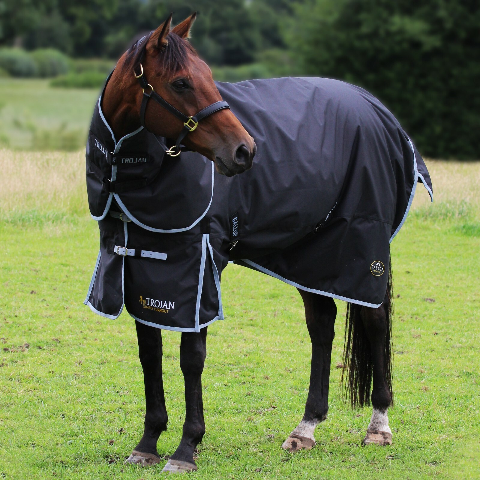 Gallop Trojan 300g Dual Set Heavyweight Winter Horse Turnout Rug