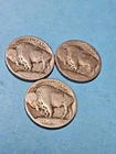 1913 Type 1 P D & S Buffalo Nickels (Dateless) - Free Shipping- A508