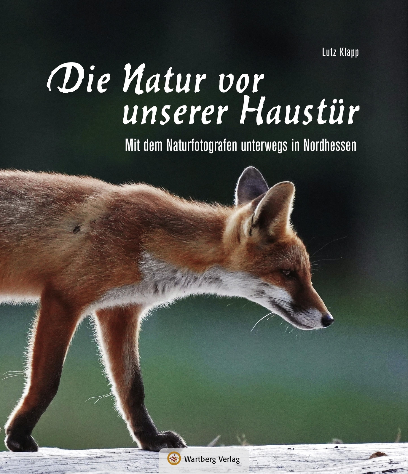 Thumbnail - Nordhessen - Die Natur Vor Unserer Haustür | Lutz Klapp | Buch | 96 S.
