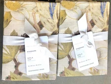 (Pottery Barn Nola Songbird Standard  Shams - Set of 2 Shams - NEW with Tags