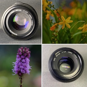 Minolta MD 50mm F1.7 Prime Manual Focus Lens Sample Pictures