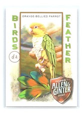 2021 Topps Allen & Ginter #BOF-9 Orange-Bellied Parrot Birds of a Feather