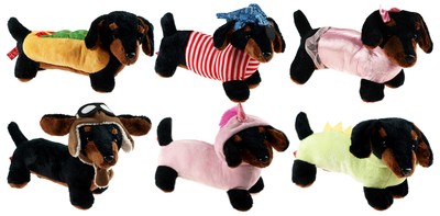 dachshund teddy