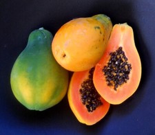 Strawberry Papaya, Sunrise Papaya - 50 seeds 2025 - USA