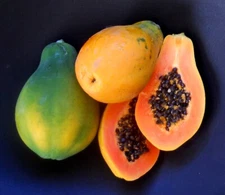 Strawberry Papaya, Sunrise Papaya - 50 seeds 2025 - USA