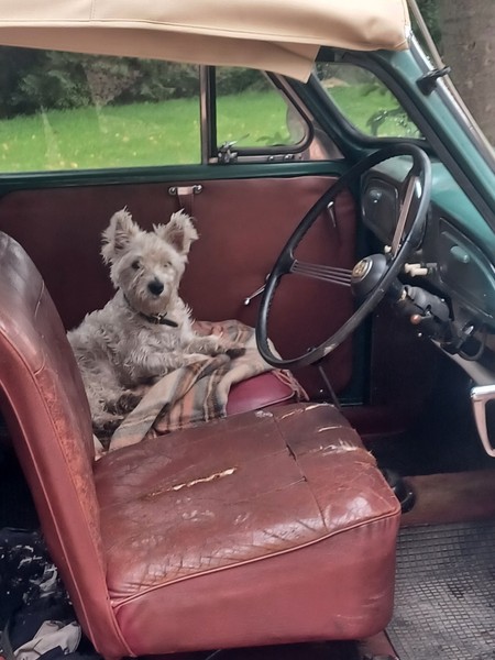 Image Placeholders2_edited.jpg