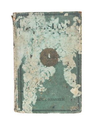 Louisiana A Study Of The State By Mable Brasher And Others Ca. 1929