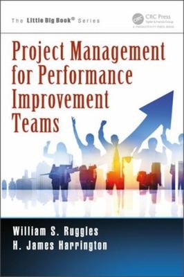 Project Management for Performance Improvement Teams Paperback