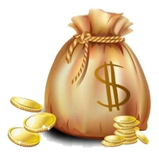 This is Just for payment freight and Buyer of Special requirements  penesto0