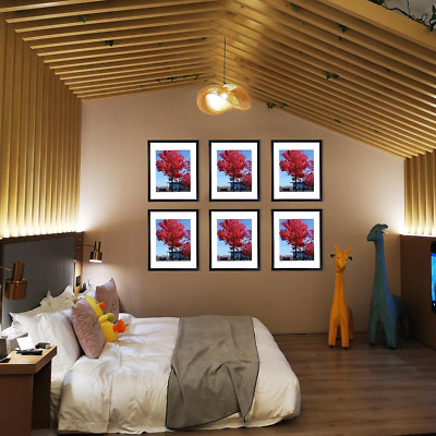 Picture Poster Photo Wall Frames Home Office Decor Black 9X12 Matted to 6X8