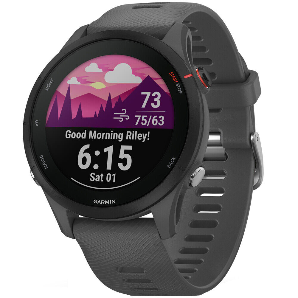 Garmin Forerunner 255 GPS Running Smartwatch in Slate Gray-image