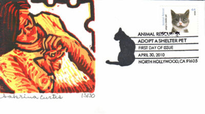 Cat Rescue Cat S And N Spca Cat Adoption Auckland North Shore Spca