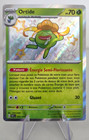 Carte Pokémon Ortide 093/091 Shiny Destinées de Paldéa Alternative Display