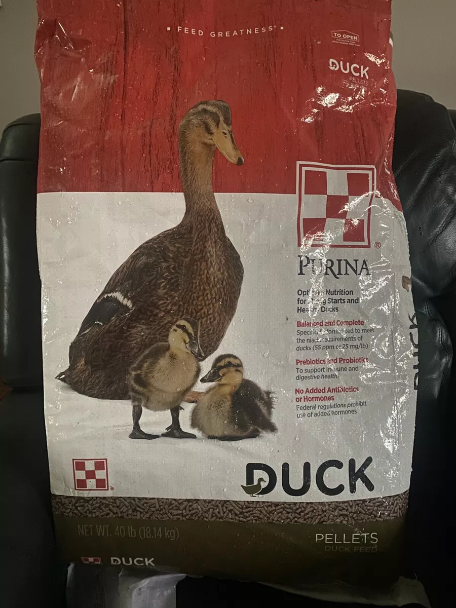 Feed bag shop crafts