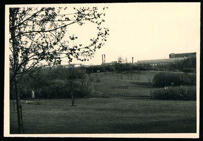 Berlin 1959 - Volkspark Humboldthain Gesundbrunnen Mid - 1950s - Photo 9x6cm