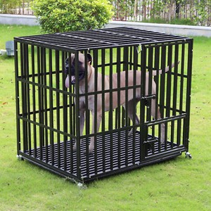 dog pen large