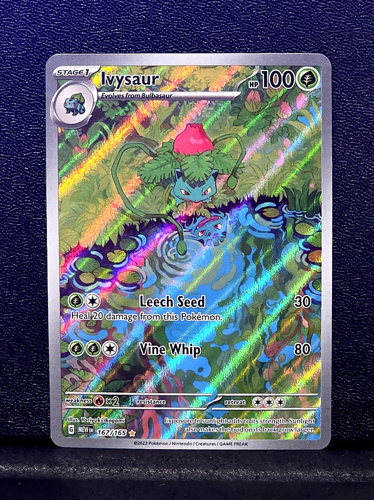 Ivysaur 167/165 Scarlet & Violet Pokemon 151 IR Illustration Rare
