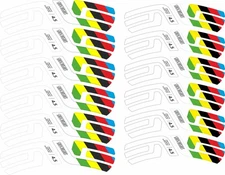 ENVE SES 4.5 Disc 2022 Wheel Stickers - Limited Edition World Champs